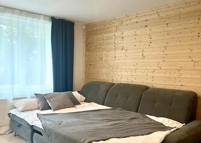 Appartement 103 M2 Geraeumiges Familienfreundliche Mit Infrarotsauna In Erfurt